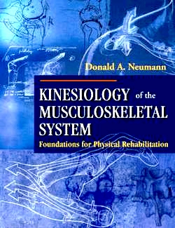 Neumann Kinesiology Of The Musculoskeletal System Pdf